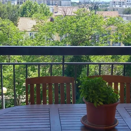 Beau T3 - Climatise - Grande Terrasse -